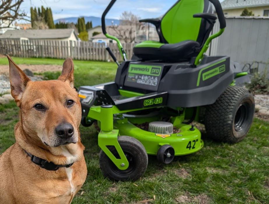 The Dogs of Timberstar Tractor