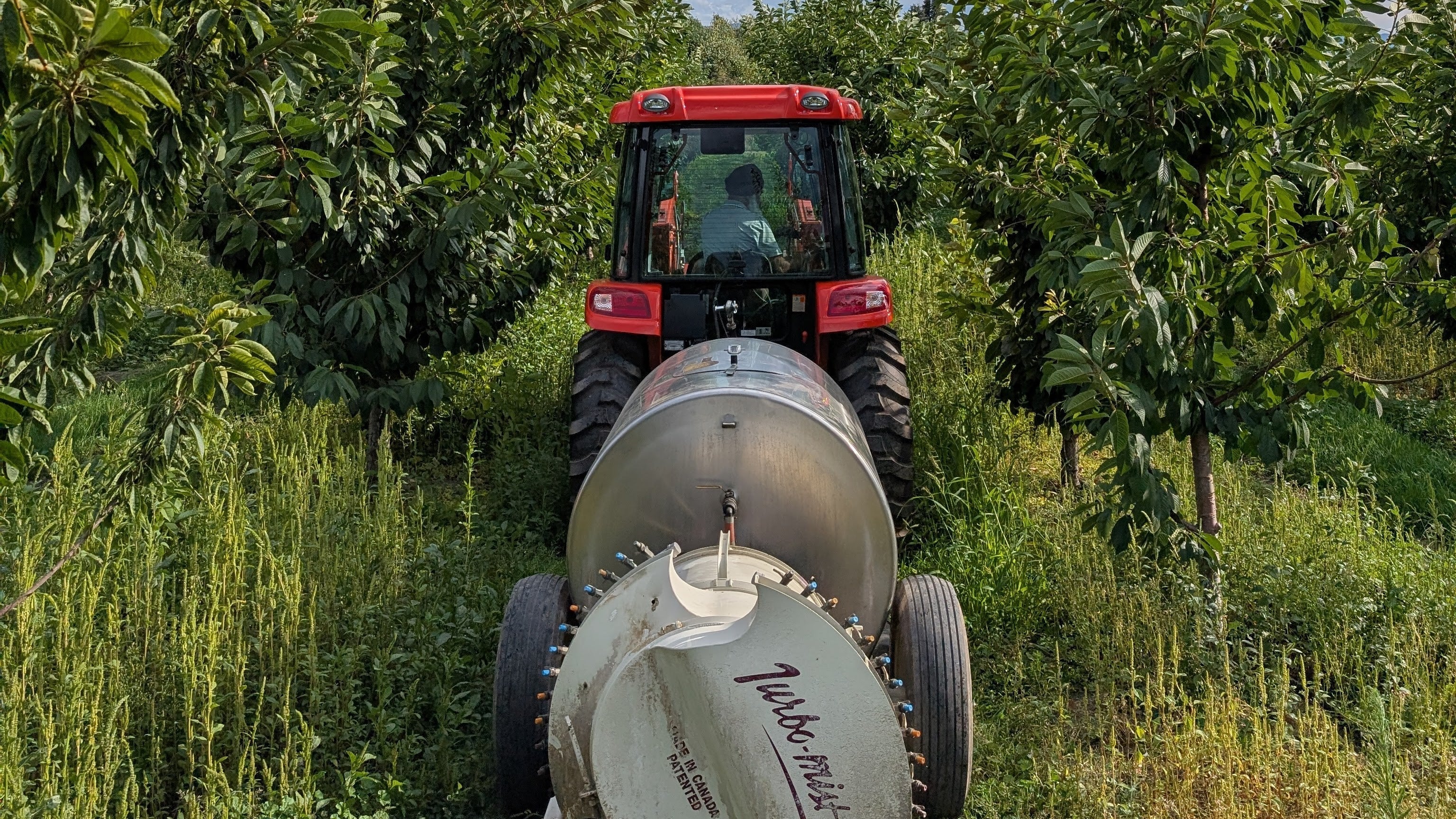 Specialty Orchard Tractors – Timberstar Tractor Narrows KIOTI Tractors for Orchard Use