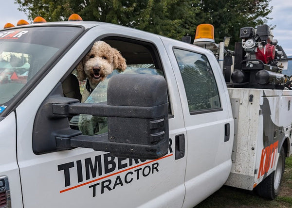 Dog peeking out of a Timberline Tractor truck